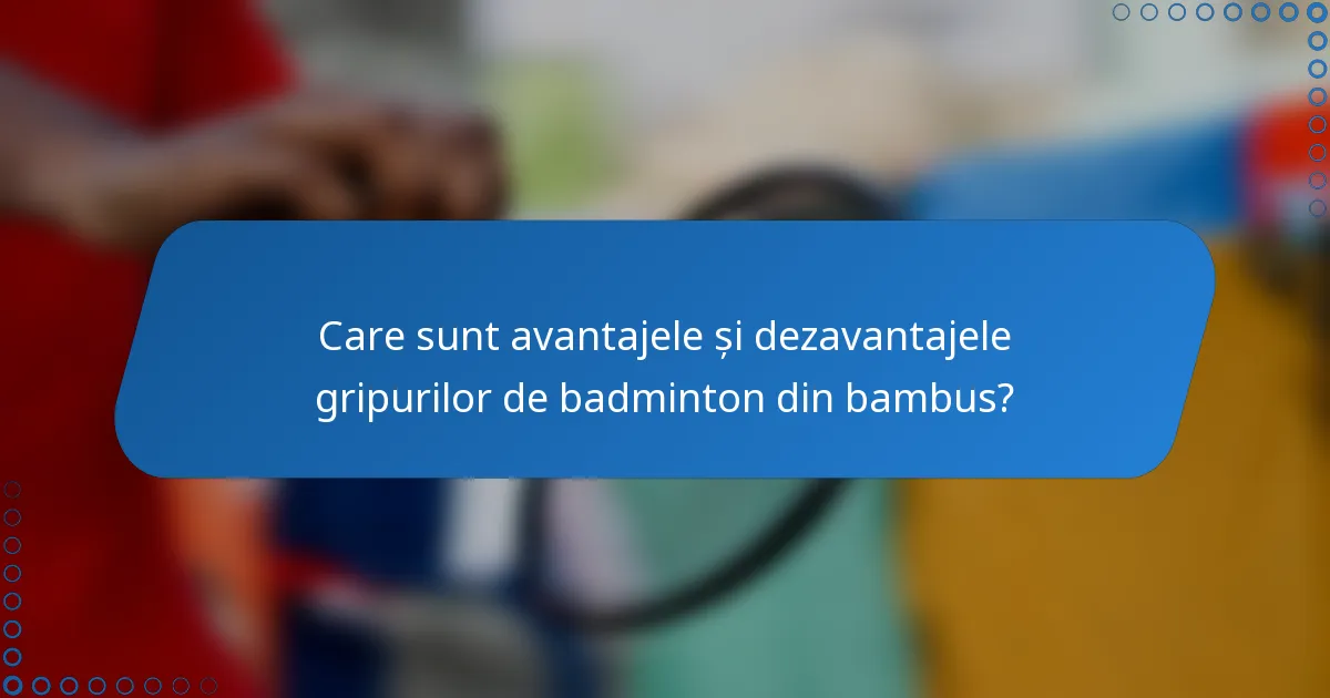 Care sunt avantajele și dezavantajele gripurilor de badminton din bambus?