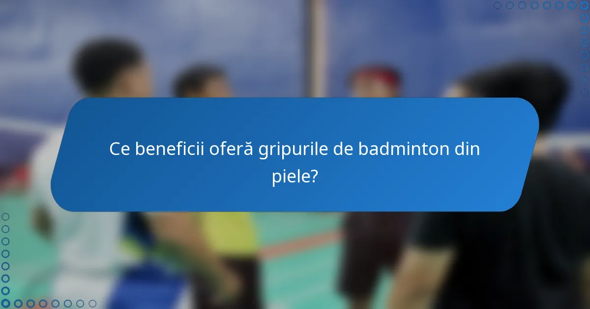 Ce beneficii oferă gripurile de badminton din piele?