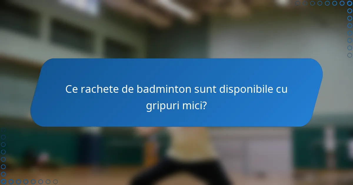 Ce rachete de badminton sunt disponibile cu gripuri mici?