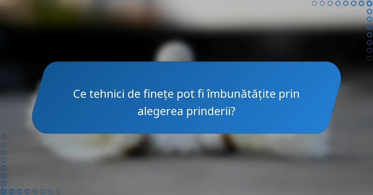 Ce tehnici de finețe pot fi îmbunătățite prin alegerea prinderii?